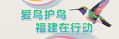 愛鳥護鳥福建在行動